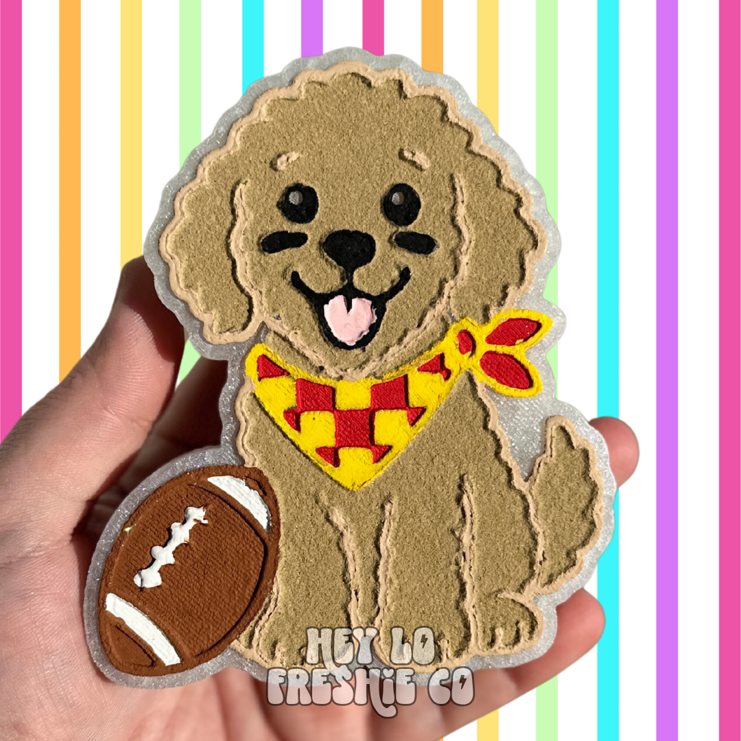 Custom Freshie: Football Doodle