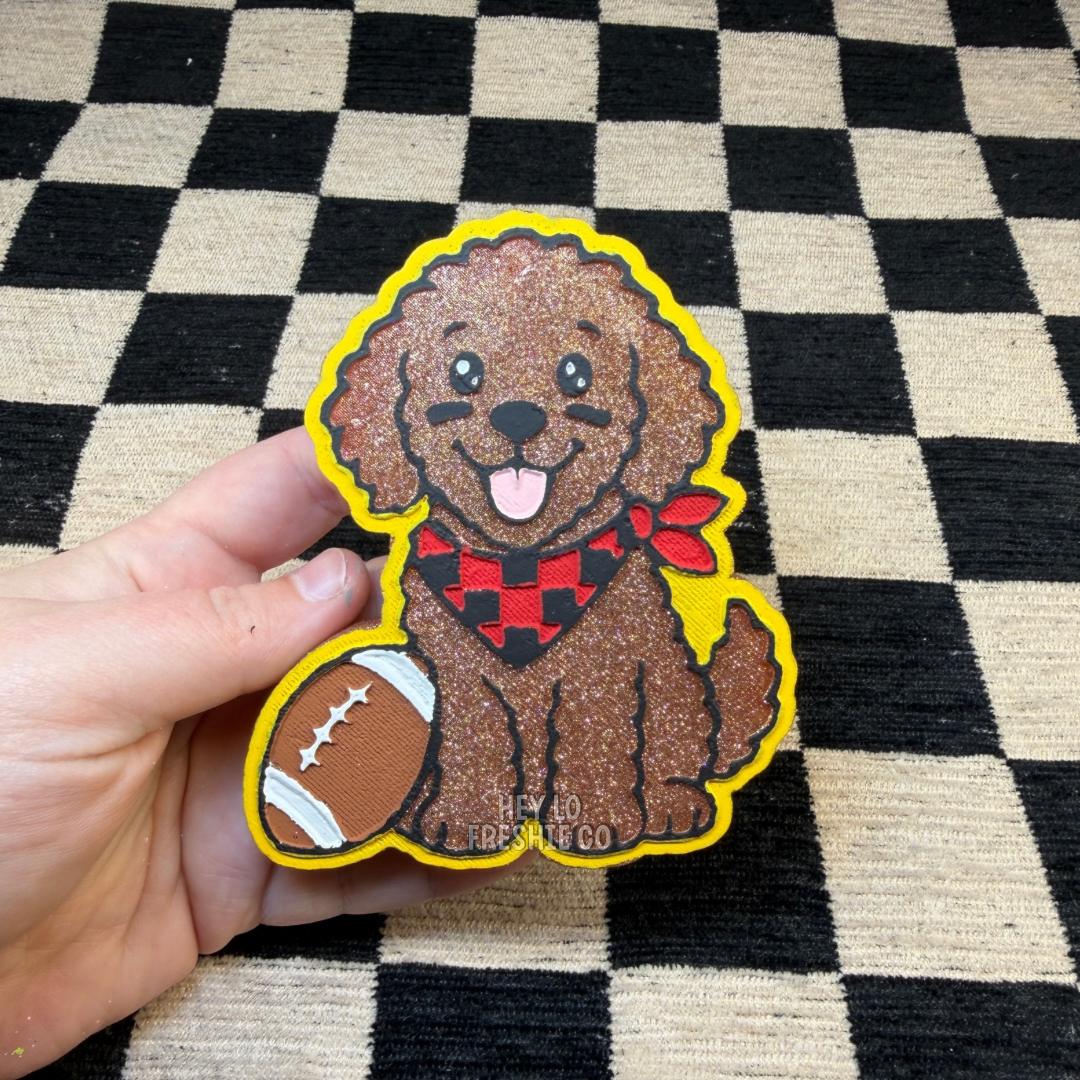 Custom Freshie: Football Doodle